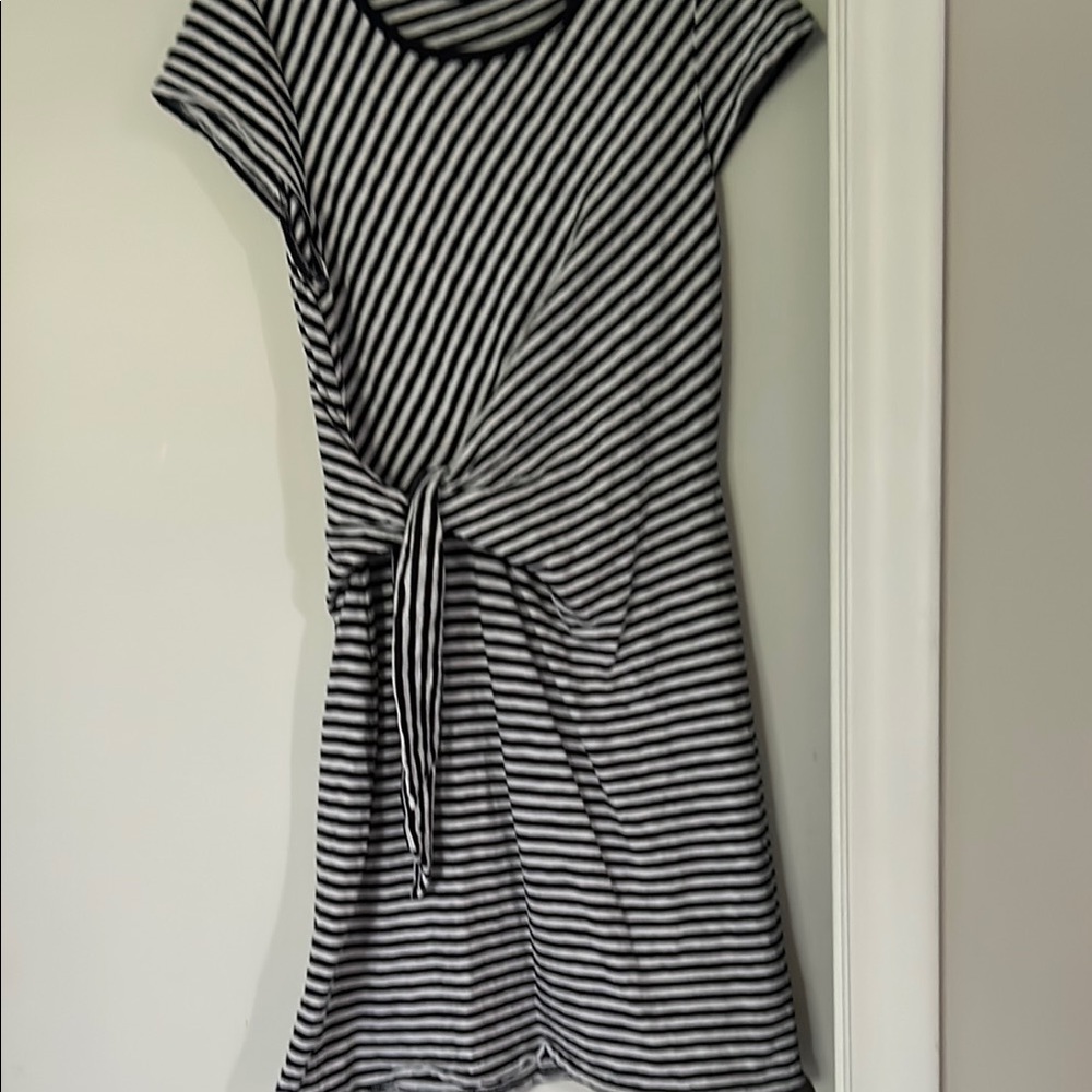 Talbots Navy and White A-Line Ruched Dress